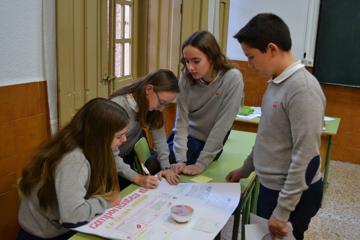 alumnos spínola evaluando en grupo actividades realizadas en clase